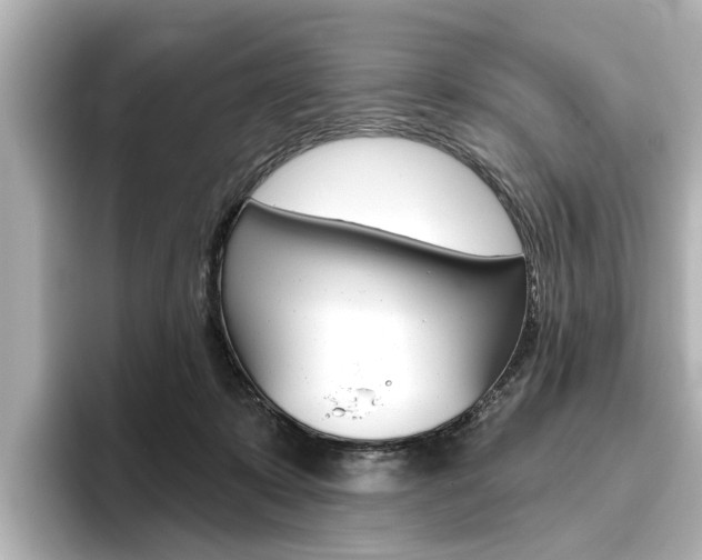X0000096430319200801241029