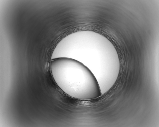 X0000096430324200801241029