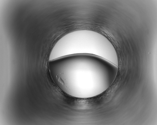 X0000096430325200801241029