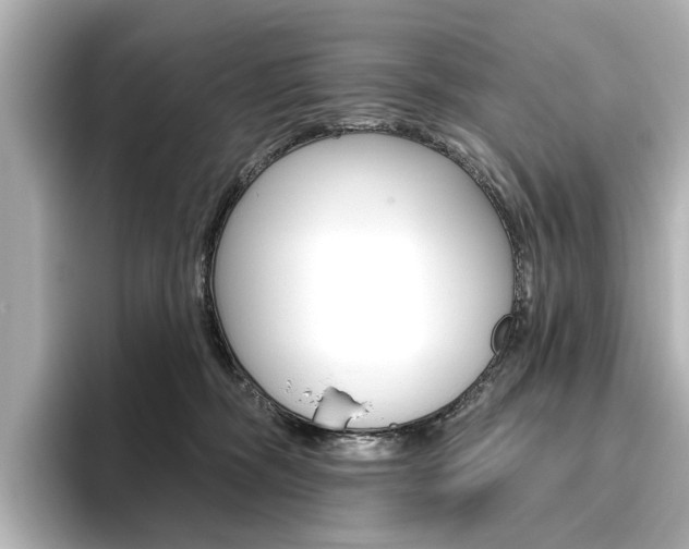X0000096430326200801241029