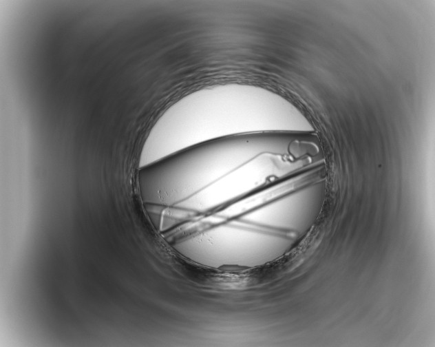 X0000096430328200801241028