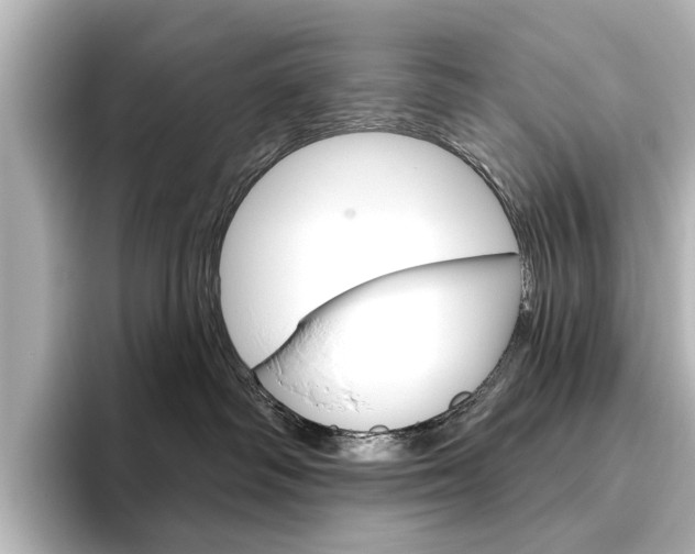 X0000096430334200801241028