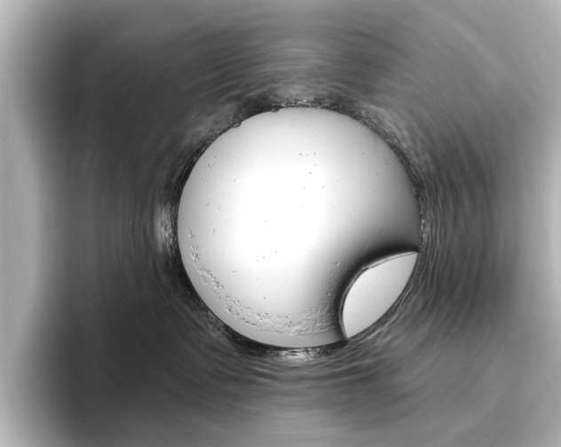 X0000096430335200801241028