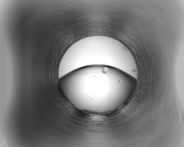 X0000096430336200801241028