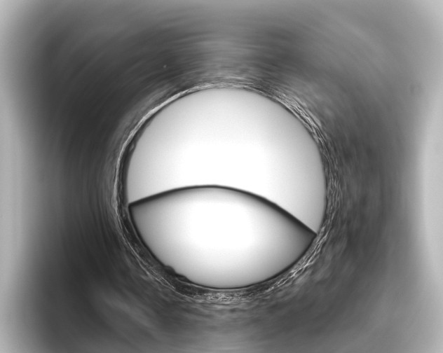 X0000096430338200801241028