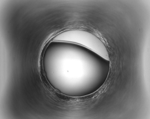 X0000096430340200801241028