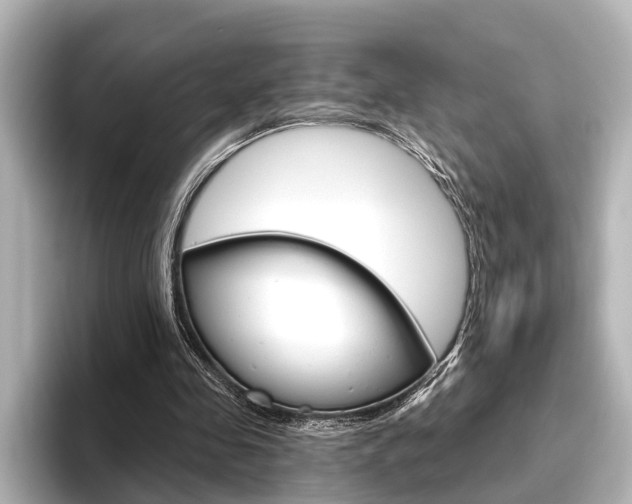 X0000096430341200801241028