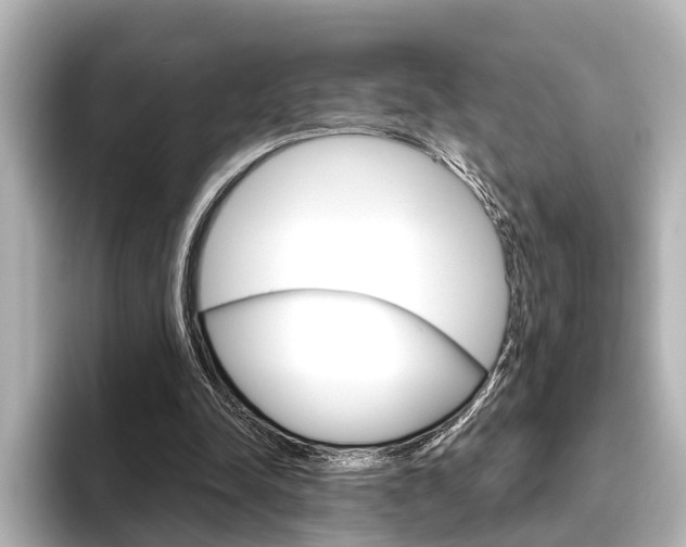 X0000096430342200801241028