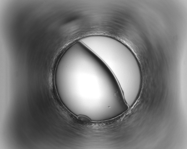X0000096430345200801241028