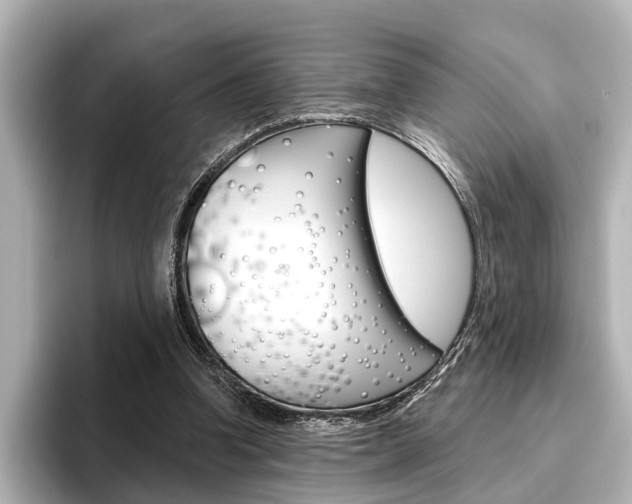X0000096430346200801241028