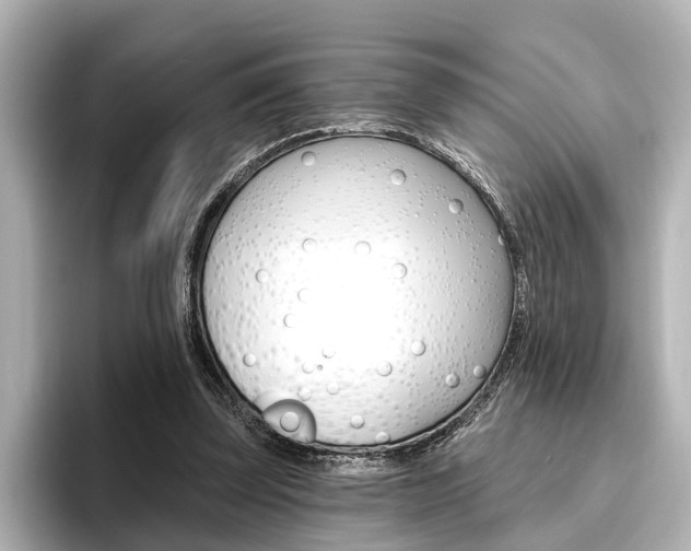 X0000096430347200801241028