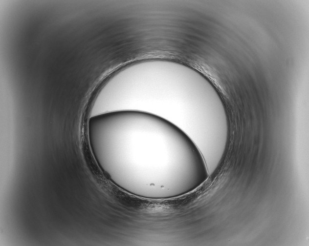 X0000096430348200801241028