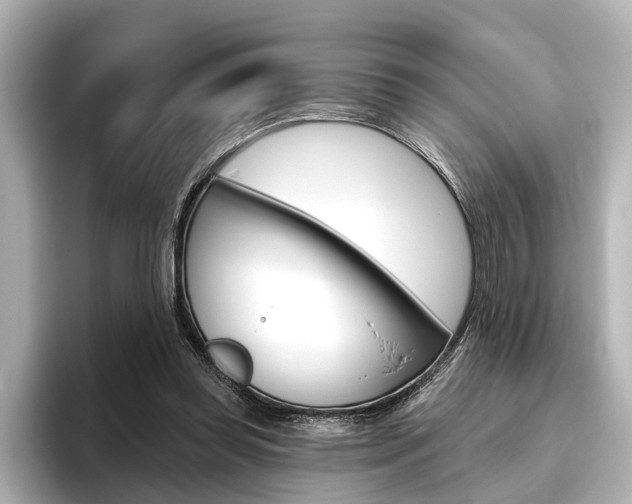 X0000096430349200801241028