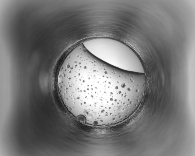 X0000096430351200801241028