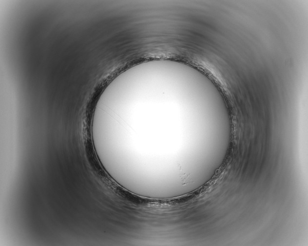 X0000096430354200801241028