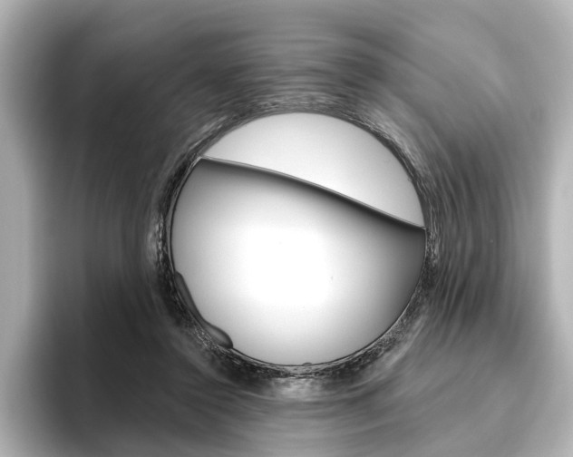 X0000096430356200801241028