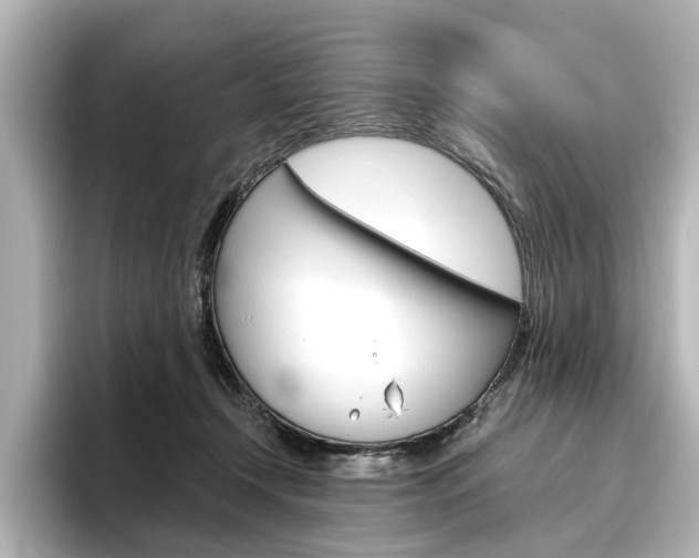 X0000096430366200801241028