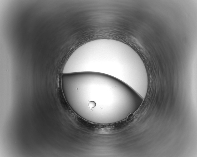 X0000096430368200801241028