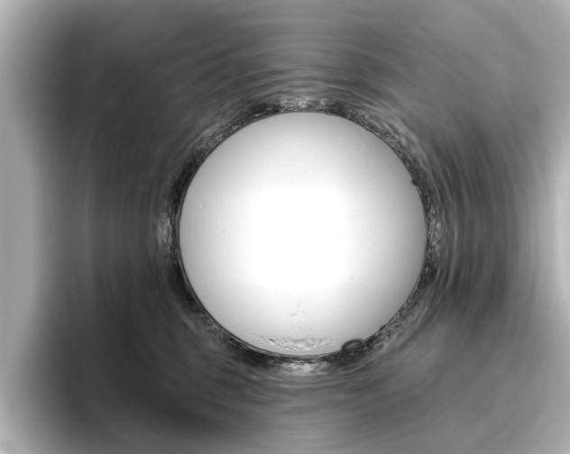 X0000096430375200801241028