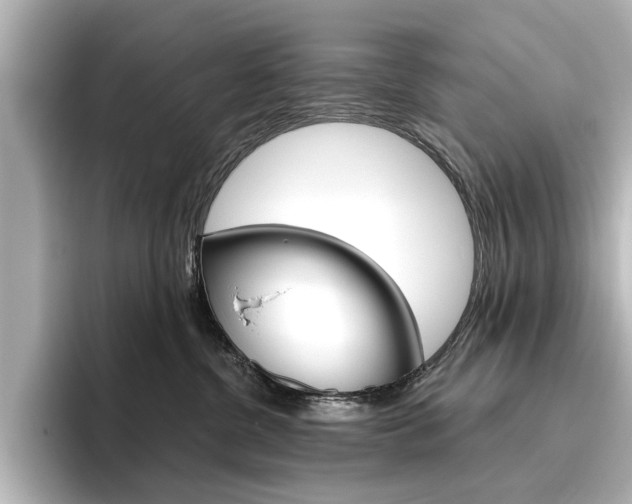 X0000096430380200801241028