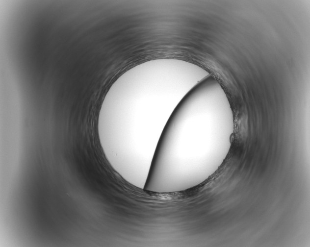 X0000096430381200801241028