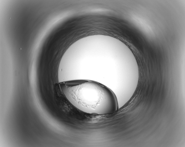 X0000096430382200801241028