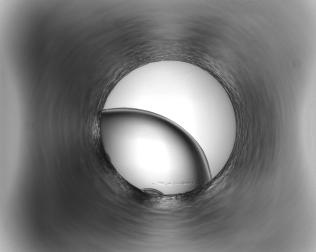 X0000096430384200801241028