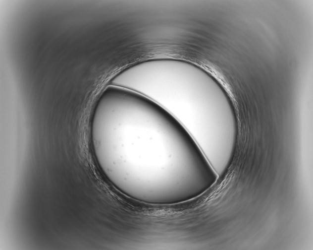 X0000096430385200801241028