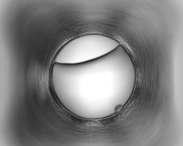X0000096430386200801241028