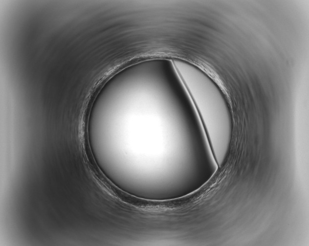 X0000096430389200801241028