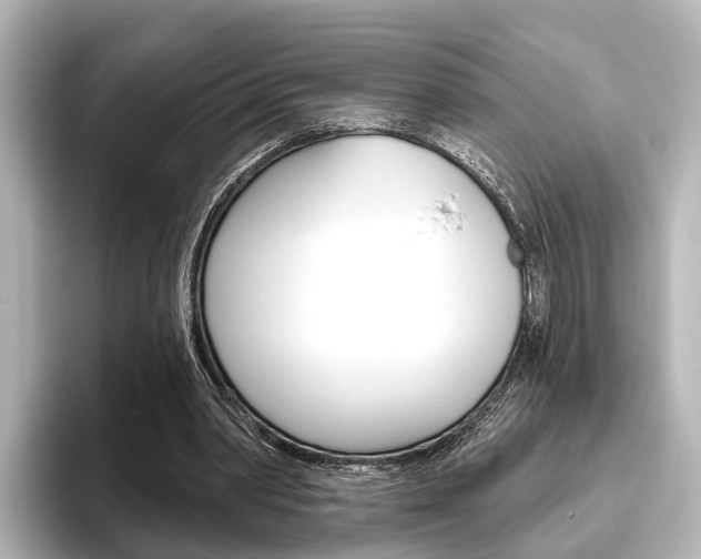 X0000096430390200801241028
