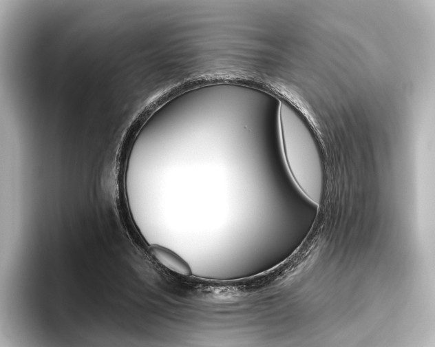 X0000096430395200801241028