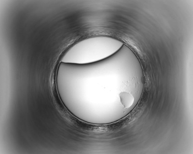 X0000096430398200801241028