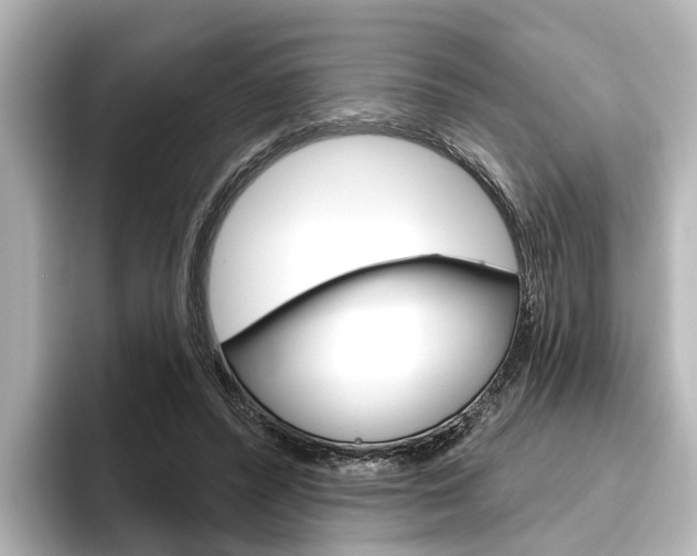 X0000096430400200801241028