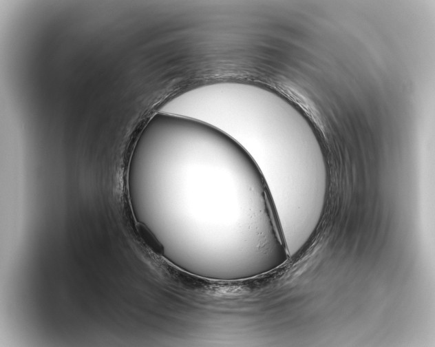 X0000096430401200801241028
