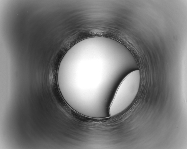 X0000096430408200801241027