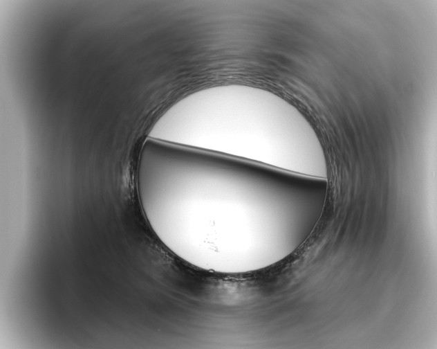 X0000096430420200801241027