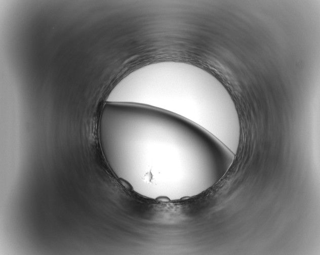 X0000096430421200801241027