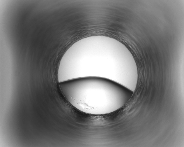 X0000096430424200801241027