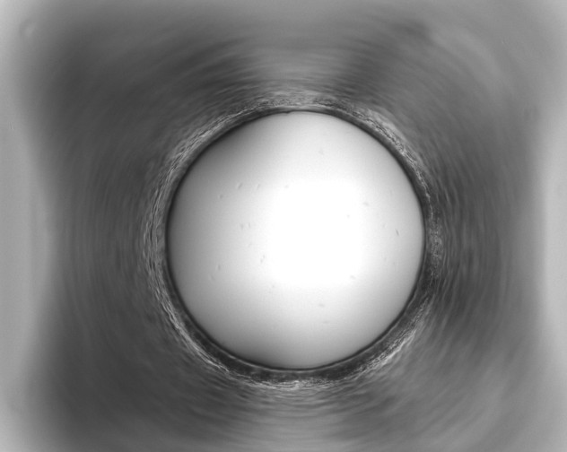X0000096430433200801241027
