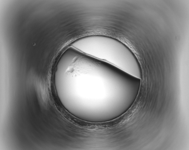 X0000096430434200801241027
