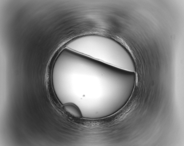 X0000096430435200801241027