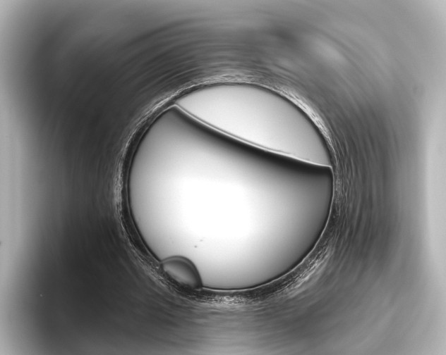 X0000096430437200801241027