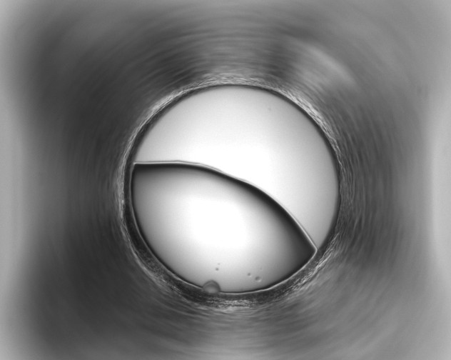 X0000096430438200801241027