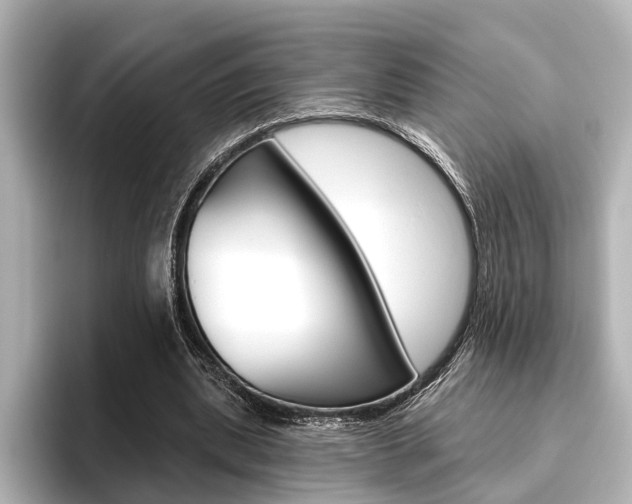 X0000096430439200801241027
