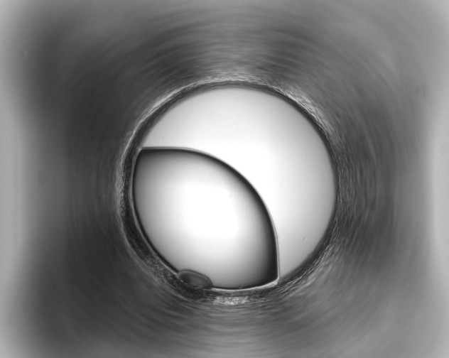 X0000096430440200801241027