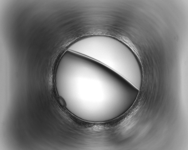 X0000096430441200801241027