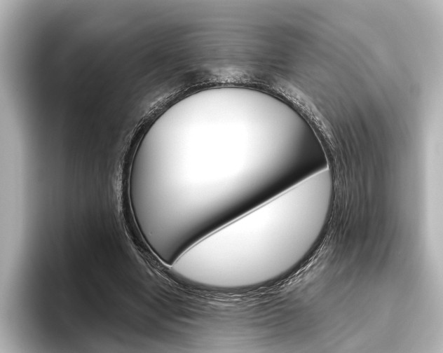 X0000096430442200801241027