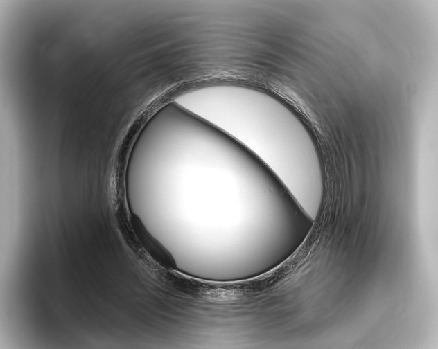 X0000096430444200801241027