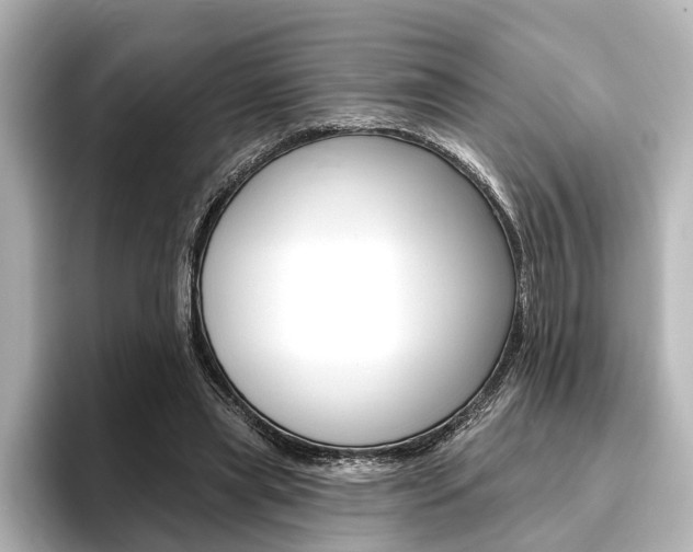 X0000096430445200801241027